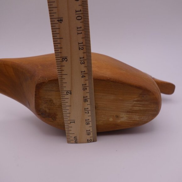 Wood Duck - Picture 13 of 16